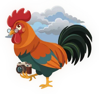 Roosta the rooster doing the Picture of Sky mission